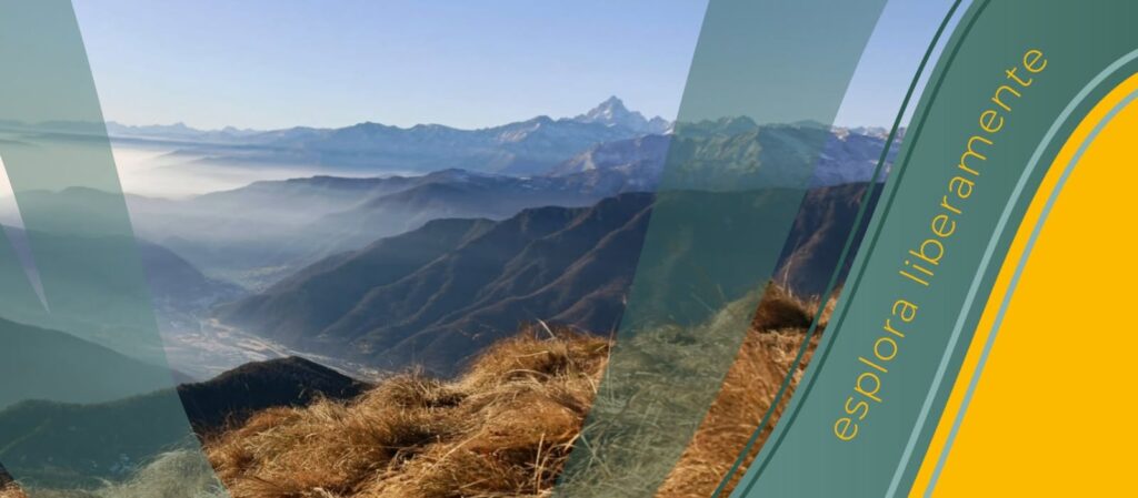 PROGETTO VITA